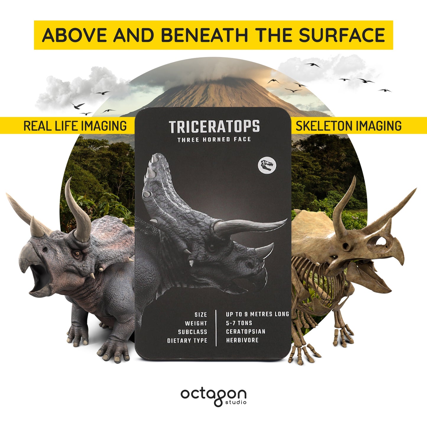 Dinosaur 4D+ Augmented Reality Cards