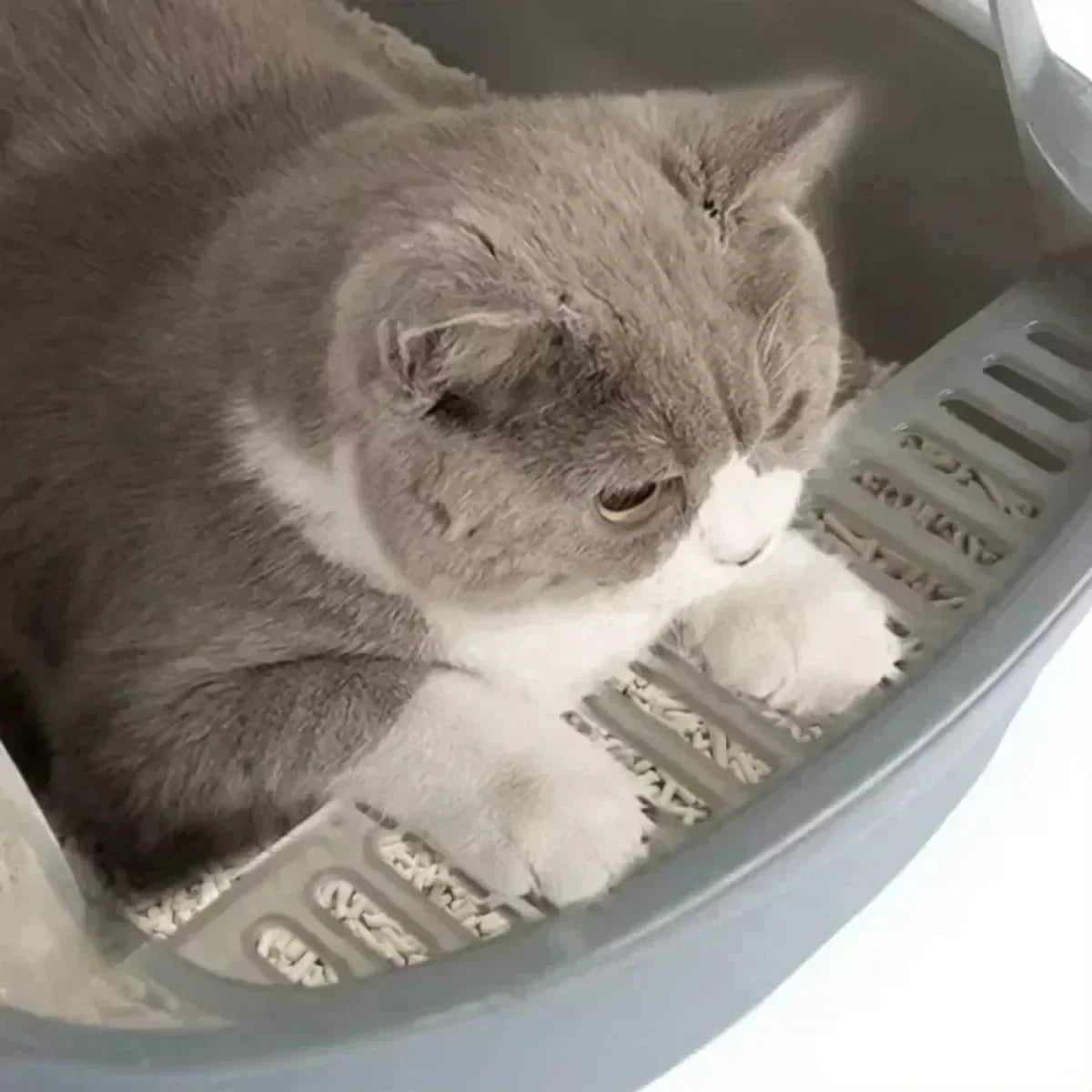 Cat Litter Box (Semi-enclosed)