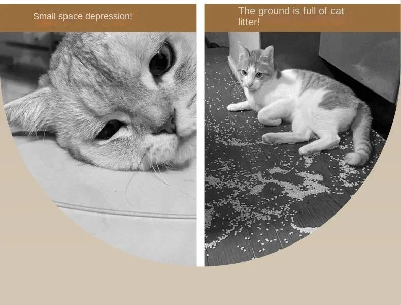 Cat Litter Box (Fully Closed): The Ultimate Solution for Pet Owners